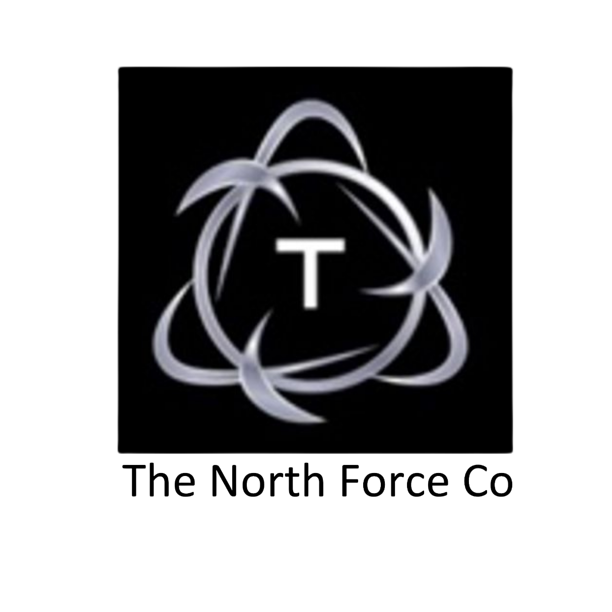 The-North-Force.webp
